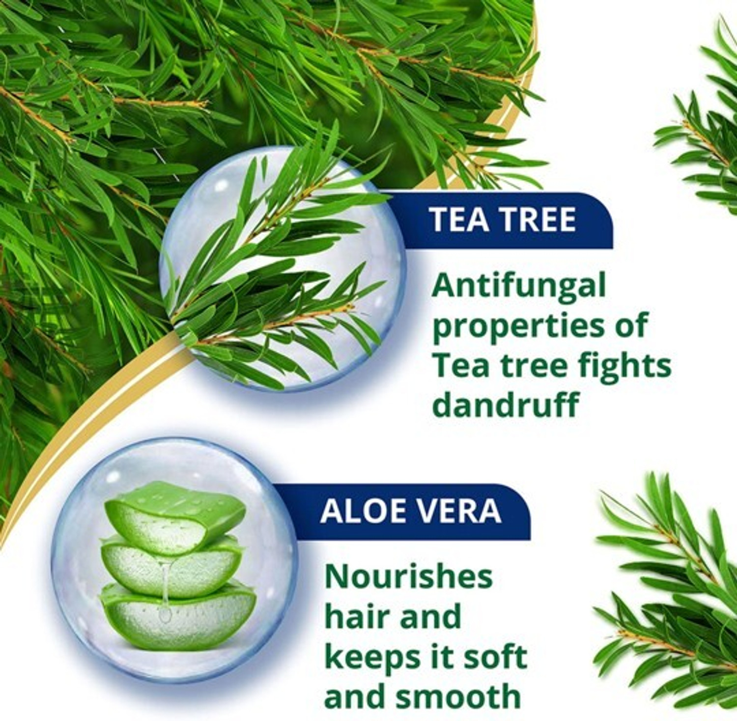 Image of HIMALAYA Anti-Dandruff Tea Tree Conditioner