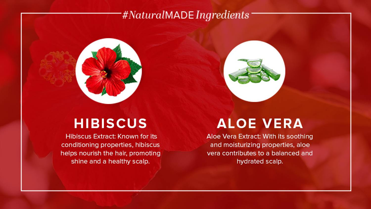 KHADI Powered Botanics Hibiscus & Aloe Vera Hair Conditioner - Image 4
