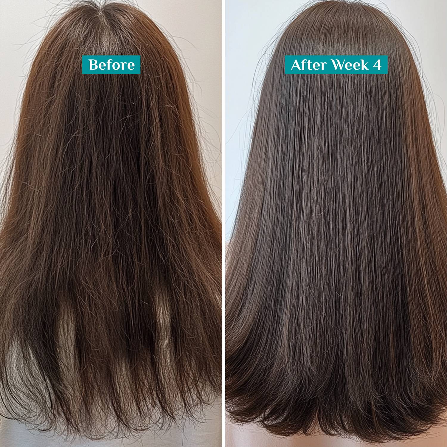 Pilgrim Rosemary & Biotin Anti-Hairfall Shampoo 200ml - Image 4