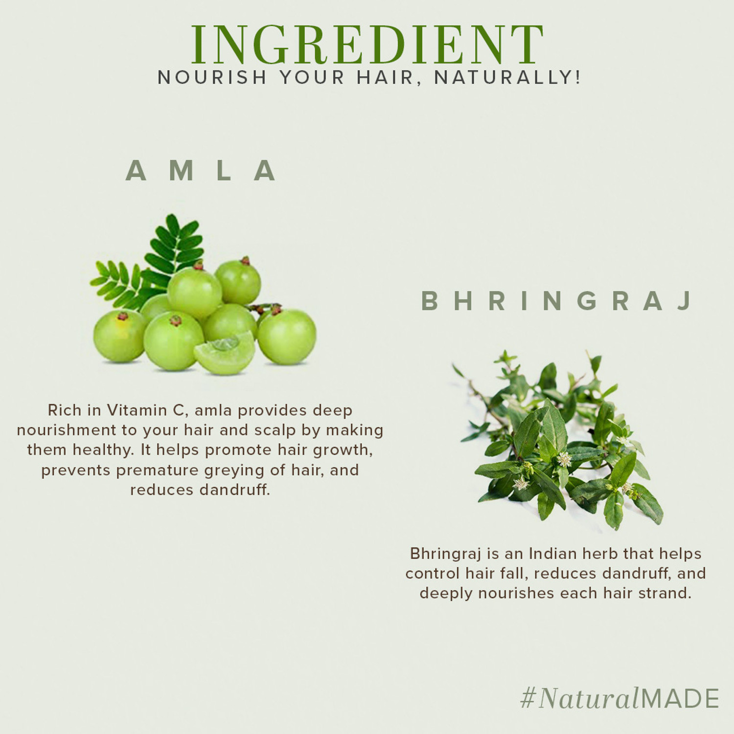 Image of KHADI NATURAL Herbal Amla & Bhringraj Shampoo /Cleanser - SLS & Paraben Free (Pack of 2) (420 ml)