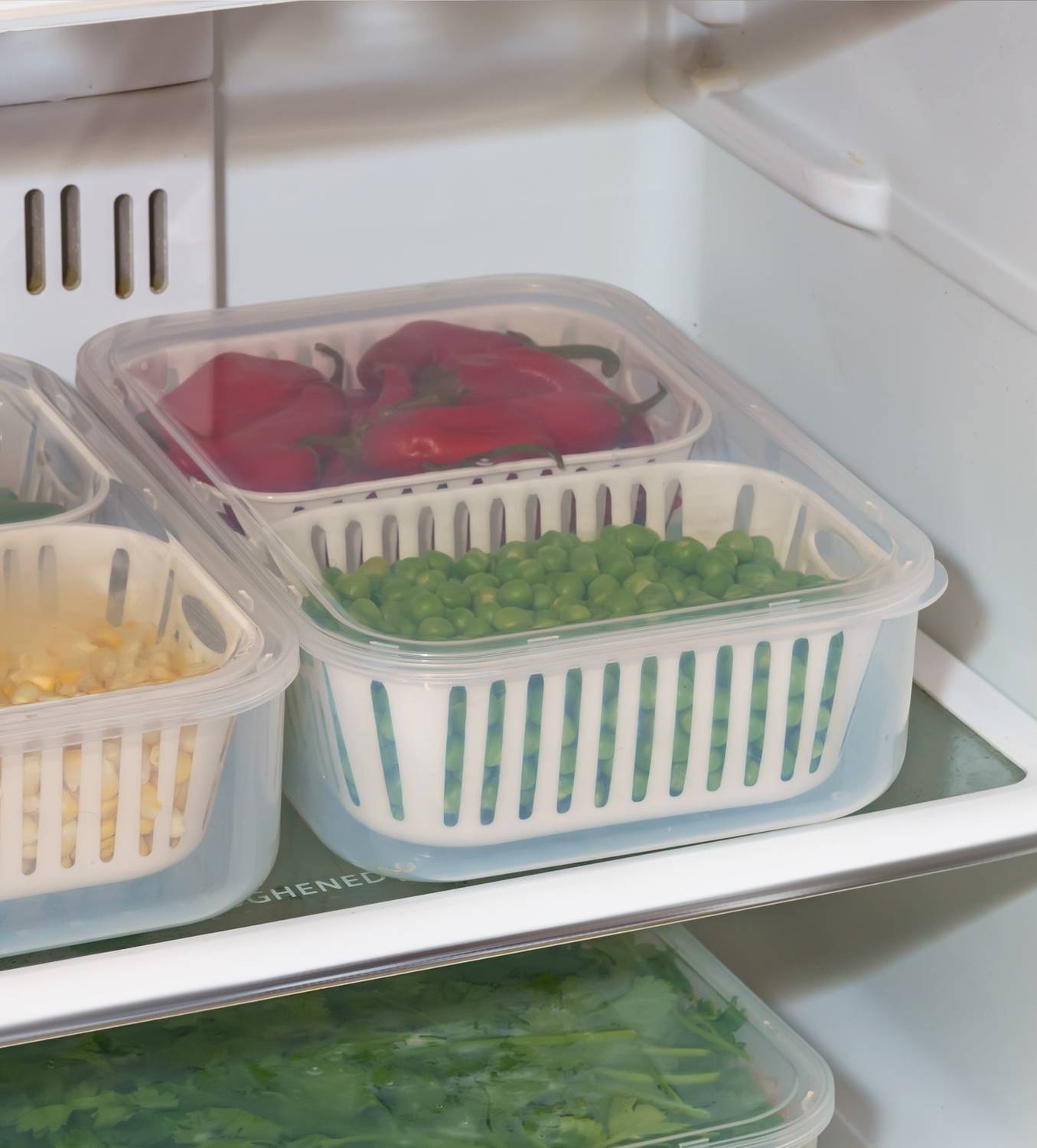 prayati Plastic Fridge Container - 2500 ml (White)