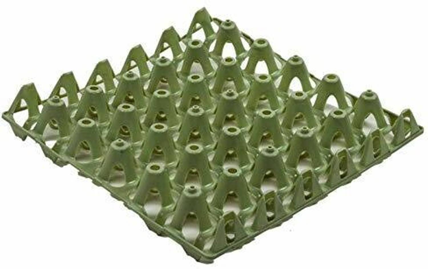 CACTUS VARIETIES Plastic Egg Container  - 3 dozen
