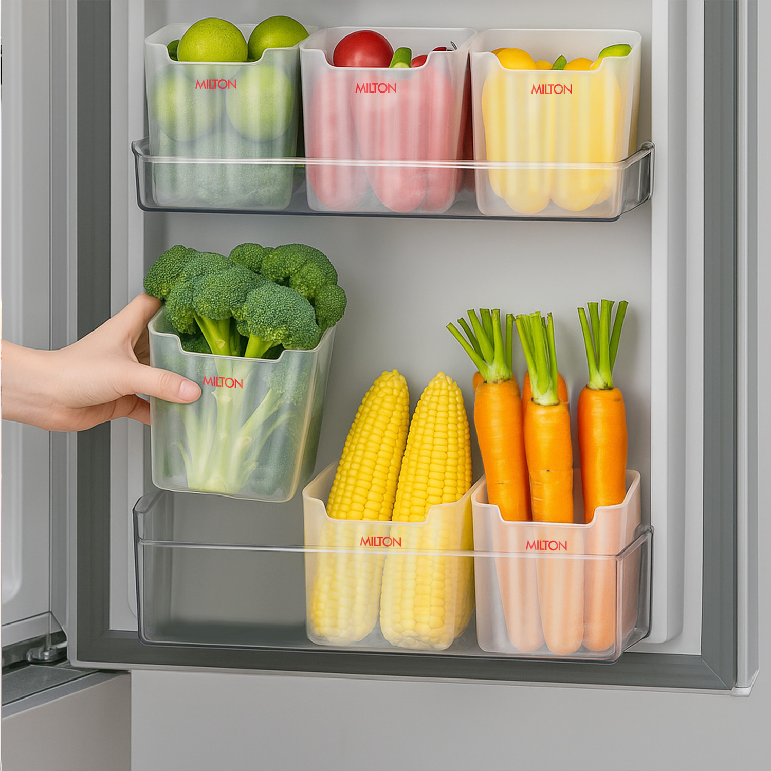 Image of MILTON Plastic Fridge Container - 1100 ml (Pack of 6, Clear)