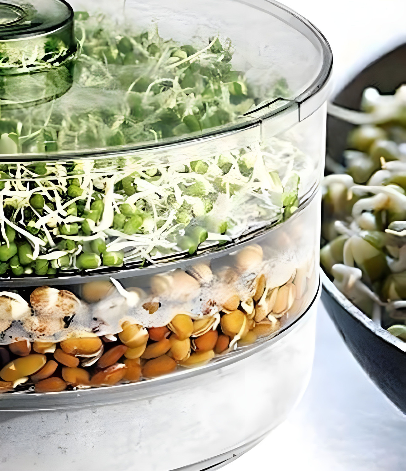Image of premium mart Plastic Sprout Maker - 2500 ml