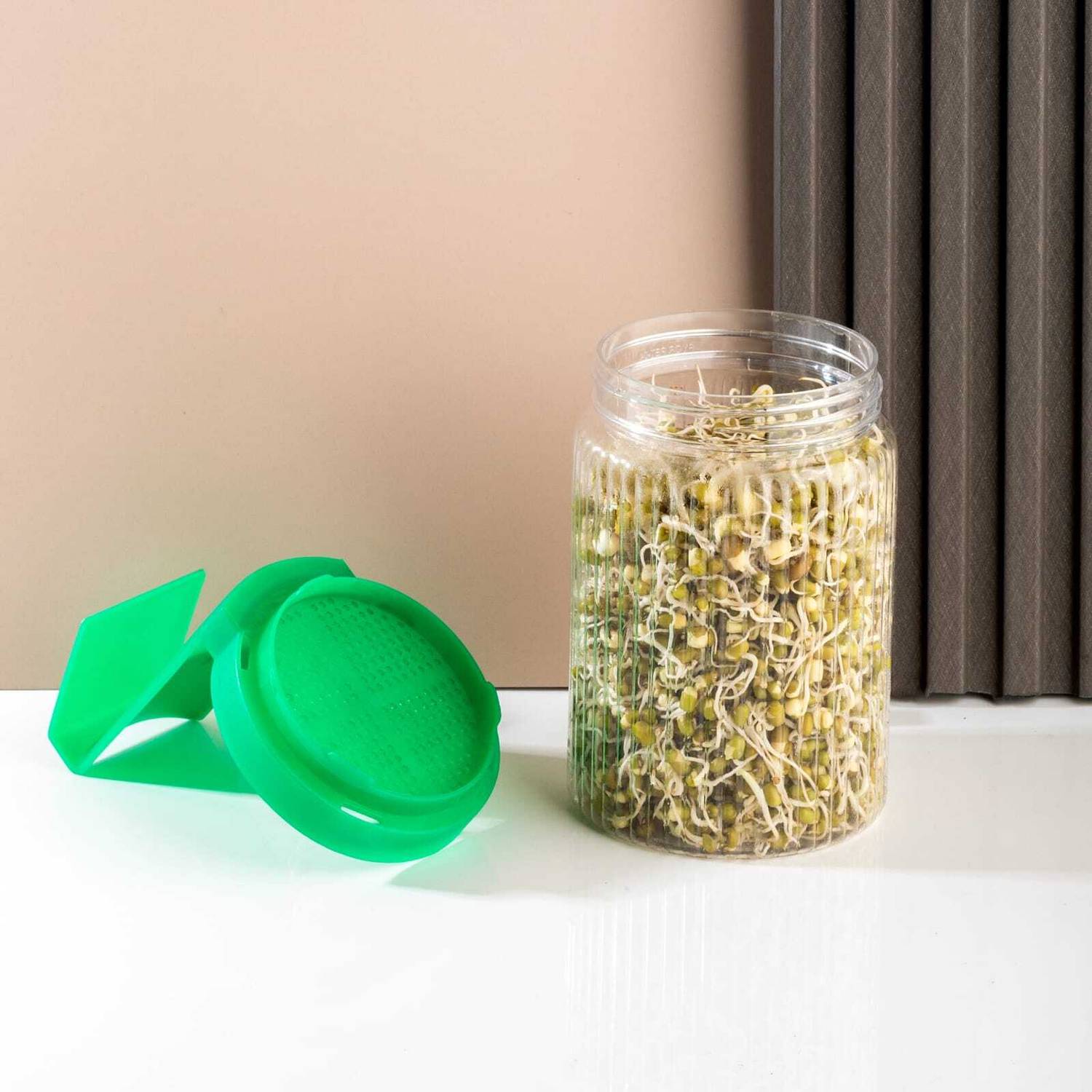 BloomKitchen Plastic Salad Bowl (Pack-01) Sprout Maker Mason Jar / Box With Mesh Lid for All Seeds & Beans Disposable