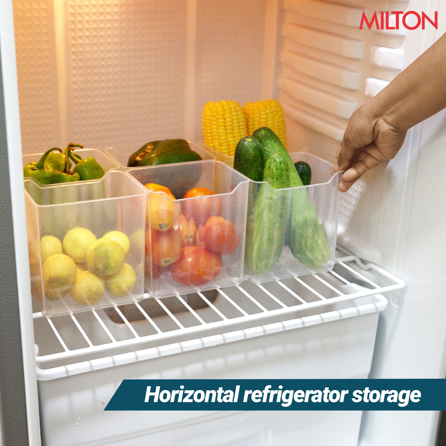 Image of MILTON Plastic Fridge Container - 1100 ml (Pack of 6, Clear)