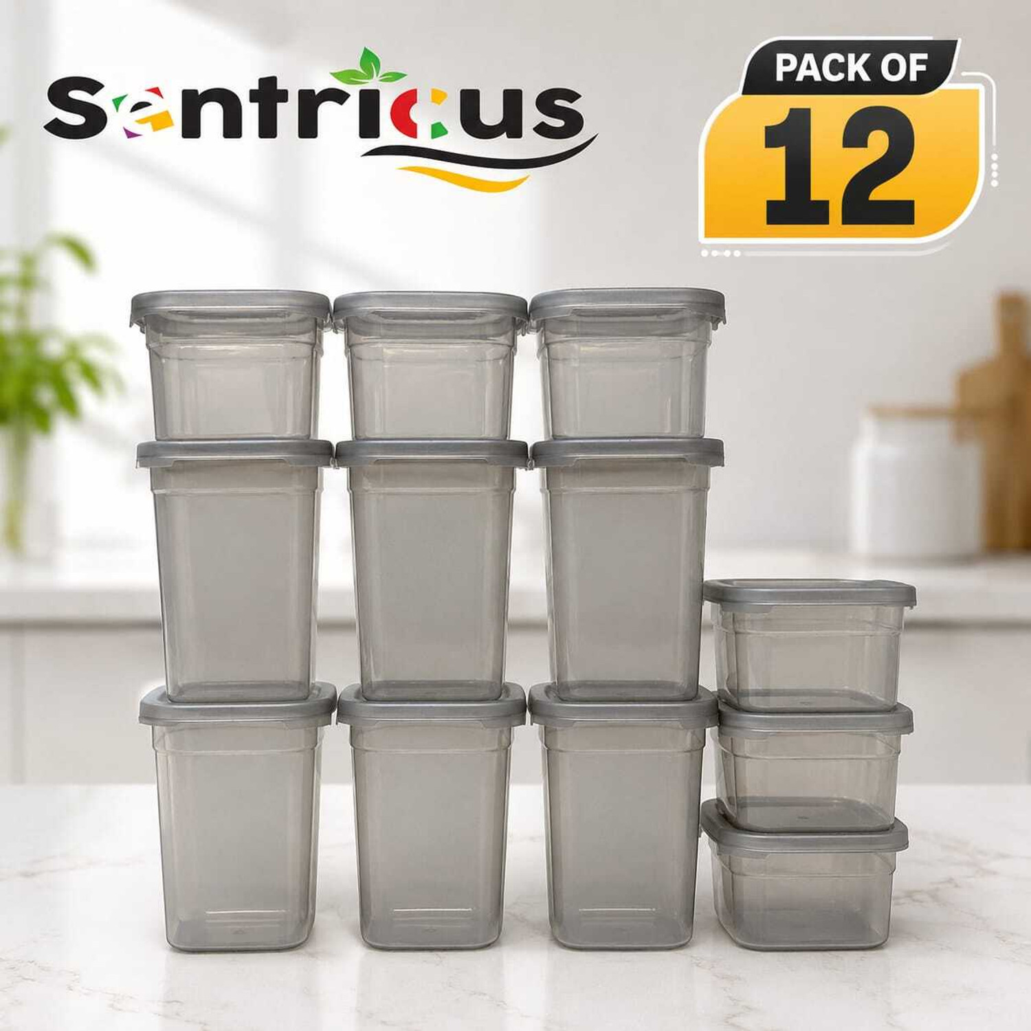 Image of Sentricus Plastic Grocery Container - 500 ml, 1100 ml