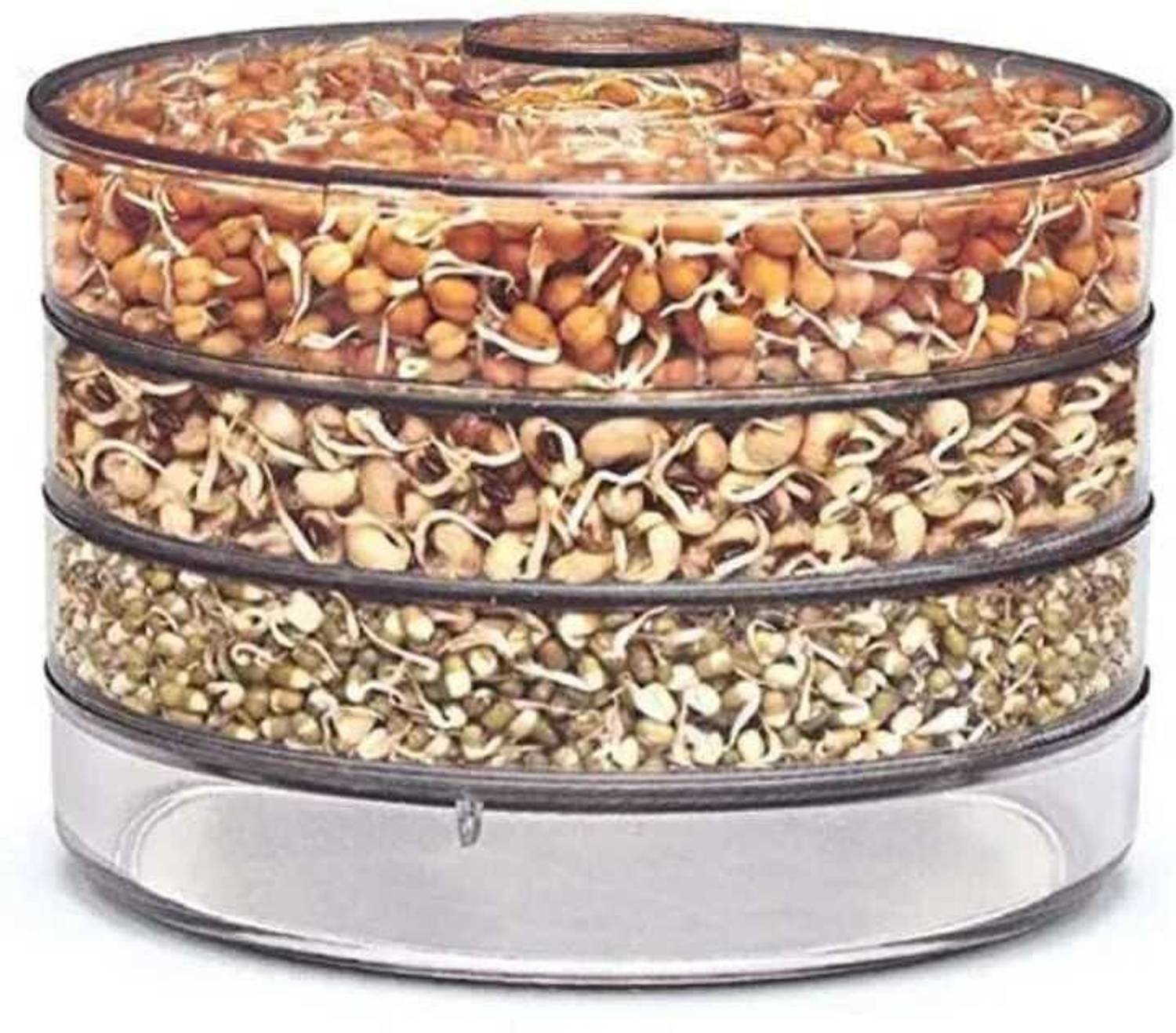 ALL IN ONE Glass Sprout Maker - 2500 ml Price in India - Buy ALL