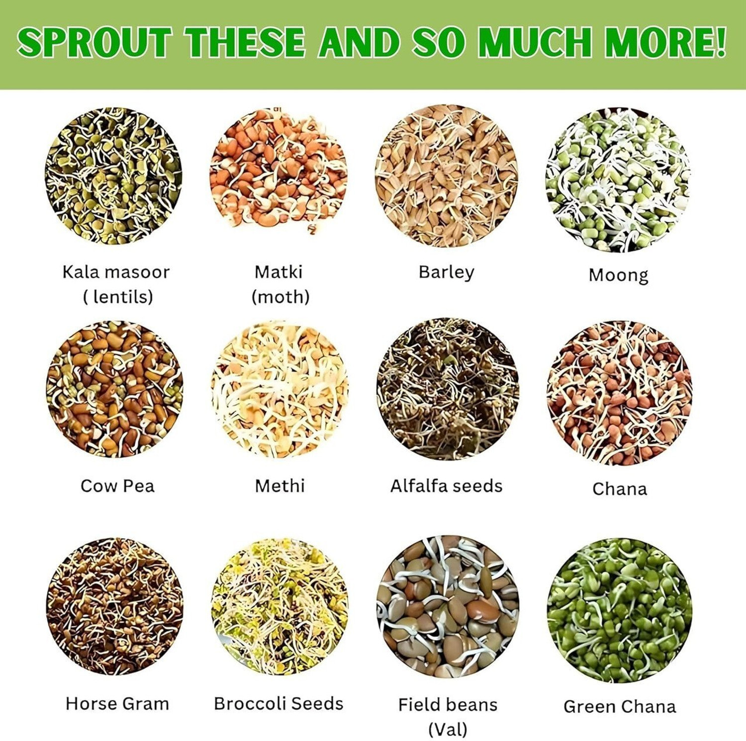 Image of NIRALUX IMPEX Glass Sprout Maker - 1000 ml