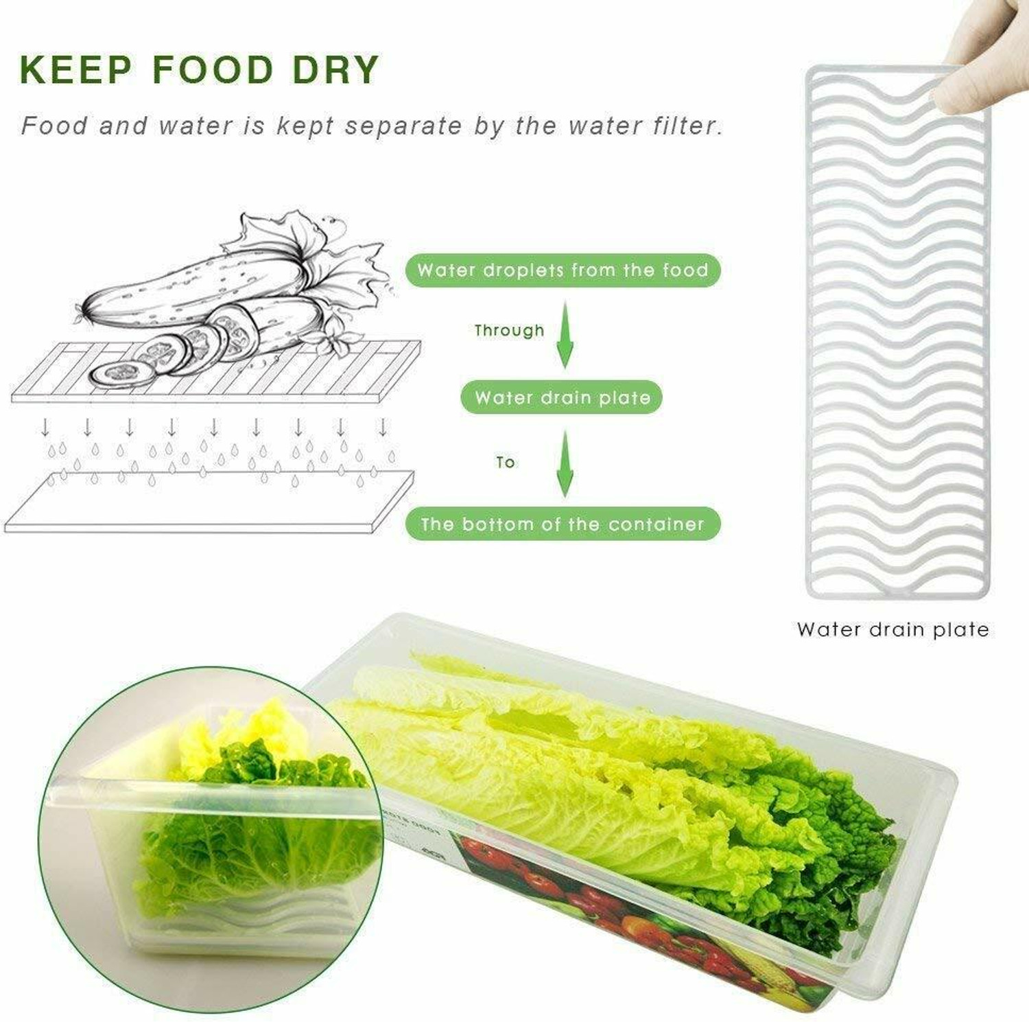 Image of RIOMAX Polypropylene Fridge Container - 1500 ml