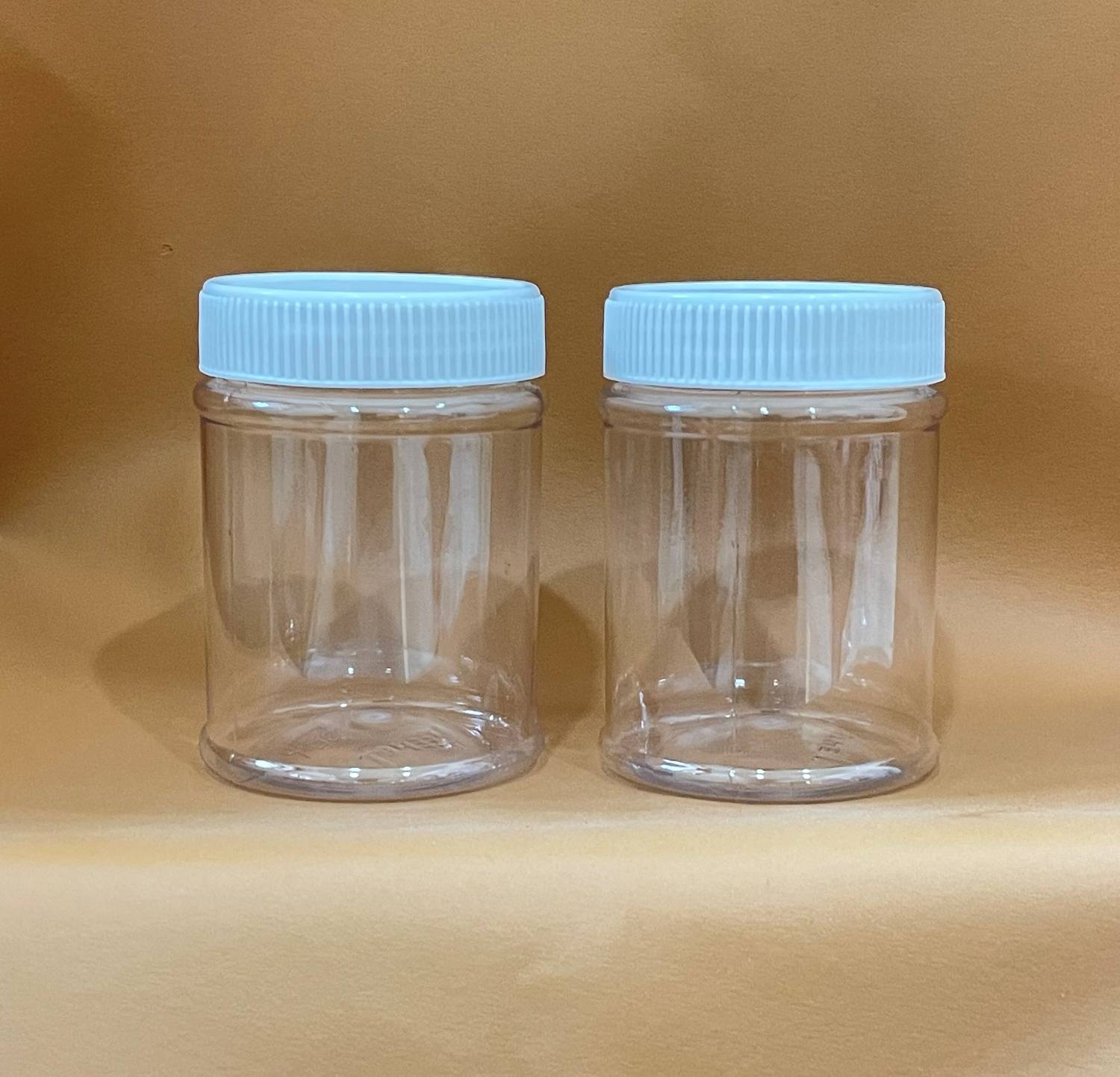 Aster Plastic Grocery Container - 250 ml