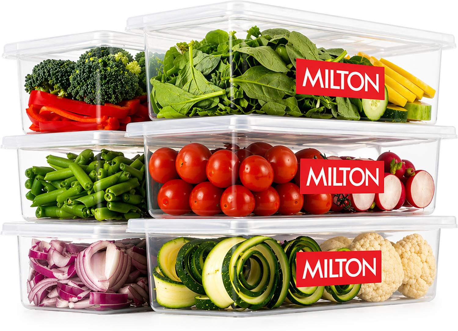 MILTON Plastic Fridge Container - 1.5 L — Storage Containers & Jars