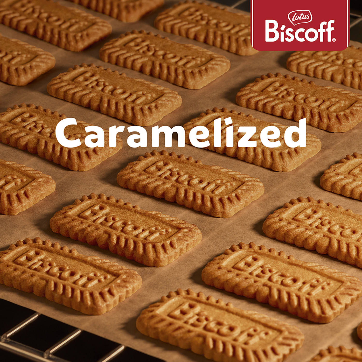 Image of Lotus Biscoff Original Caramelized Cookie Family Pack Cookies Biscuit