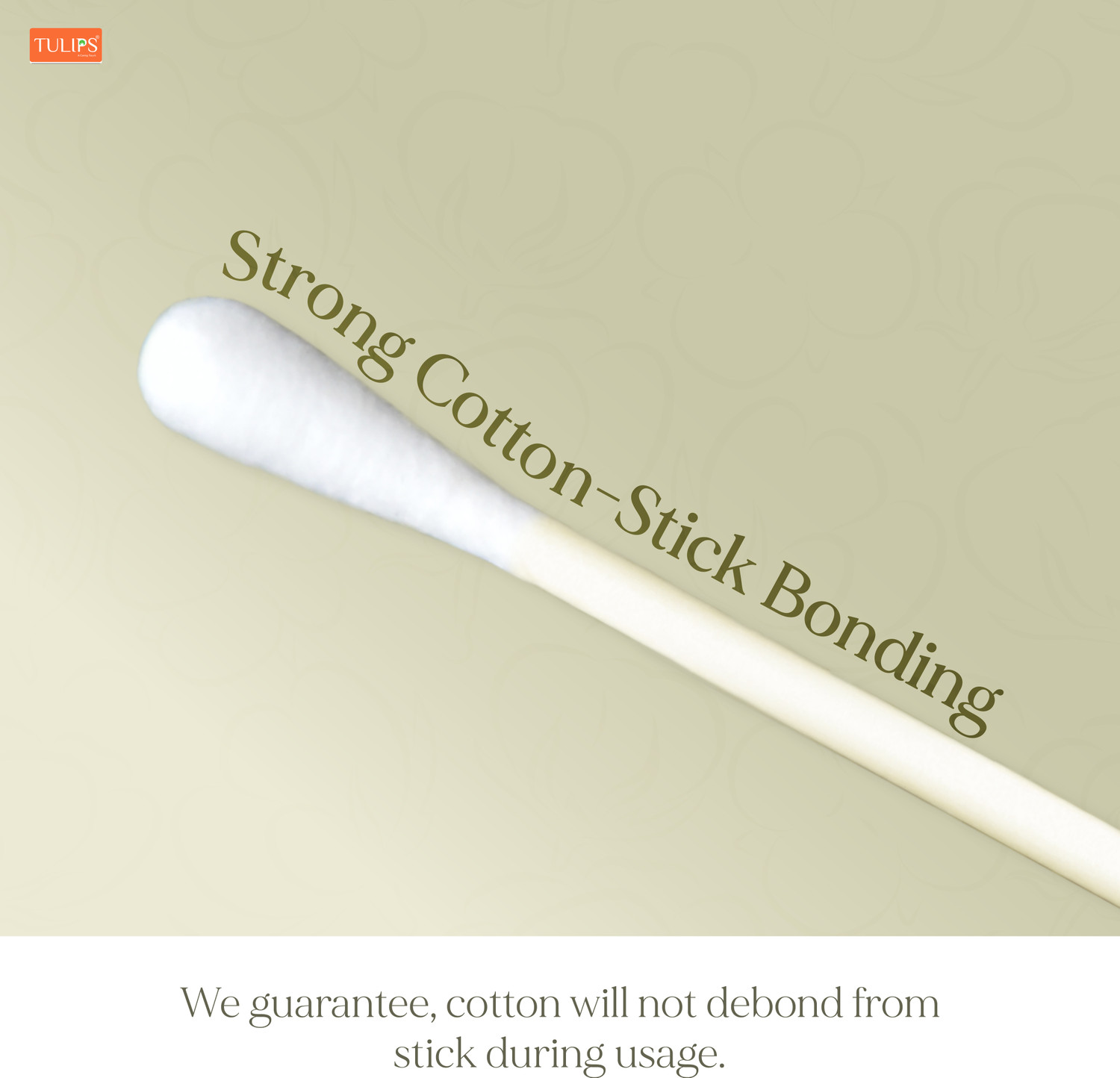 Image of Tulips Cotton Ear Buds {Pack of 3} with White PAPER Stick 200 Sticks in a Jar