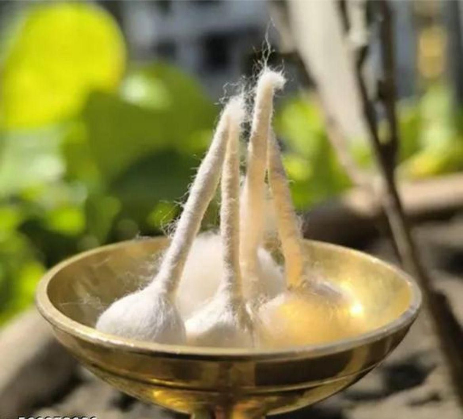 Image of phorriet Batti Cotton Wick