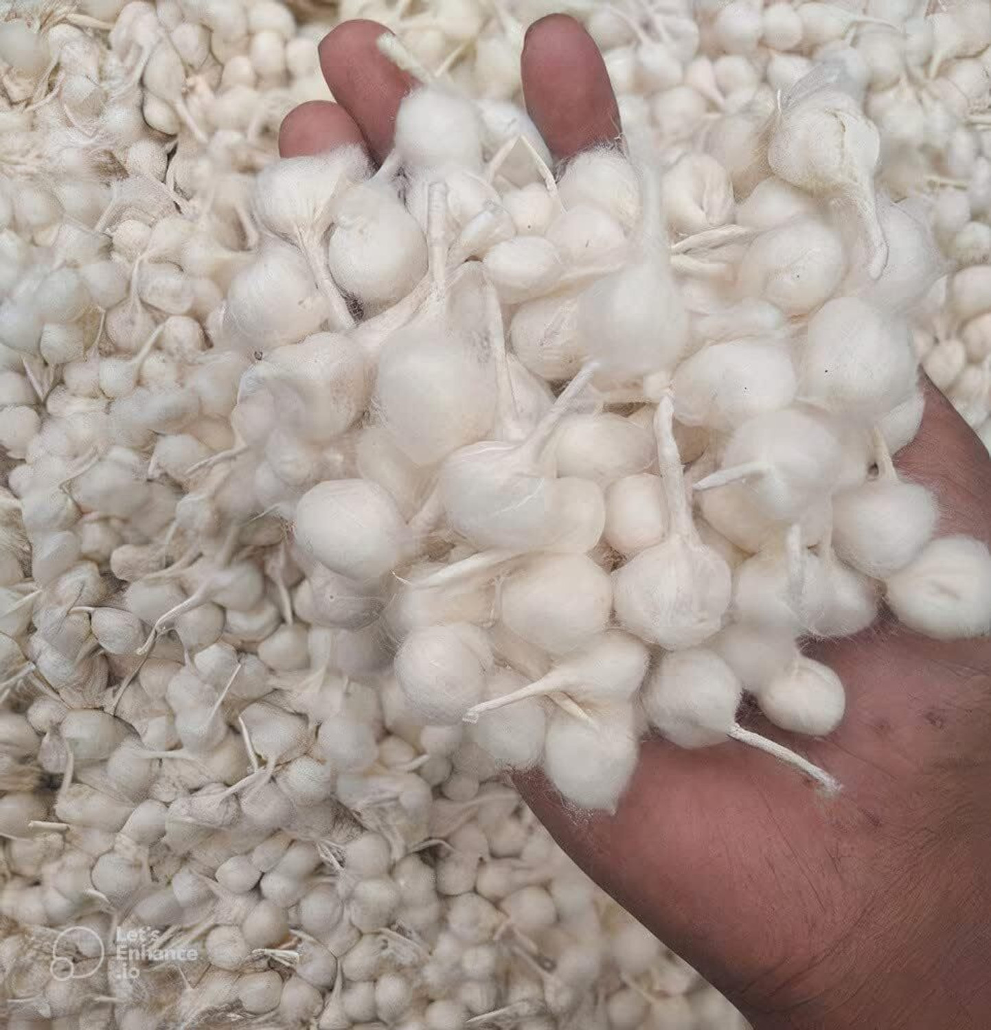 Image of Randal Cotton Round Wicks for Diya Batti / Phool Batti / Puja Baati 500 pieces Cotton Wick