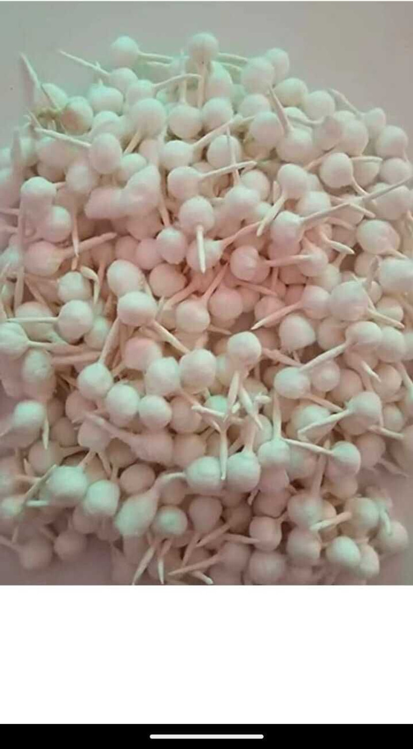 Image of phorriet Batti Cotton Wick