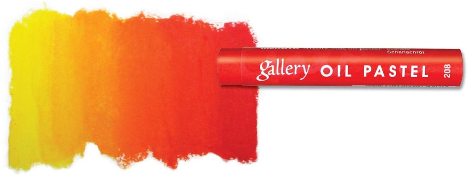 Image of Mungyo Gallery Artists' Soft Oil Pastels Set Of 48 Colours
