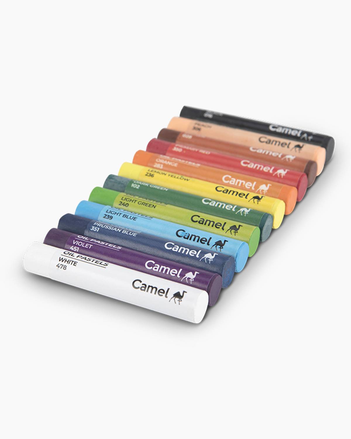 Camel Oil Pastels 12 Shades