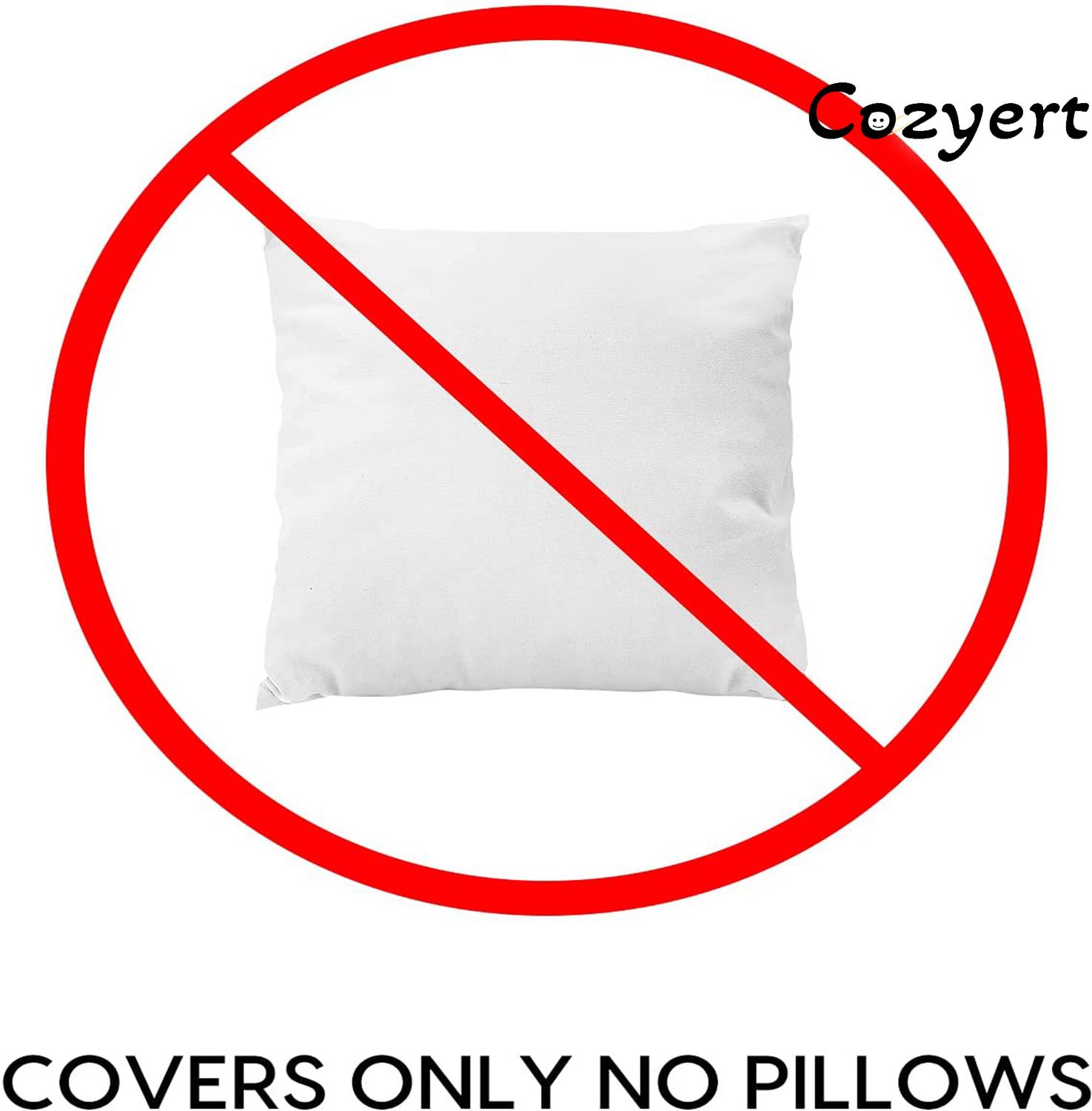 Cozyert Fur Microfiber Pillow Cover Pack of 2 - Image 5