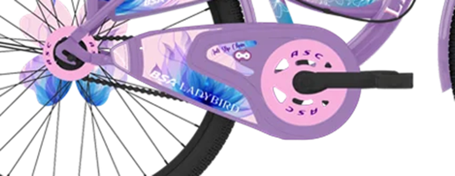 Image of BSA LADYBIRD SUMMER ASC 26 T (inch) Balance Bike