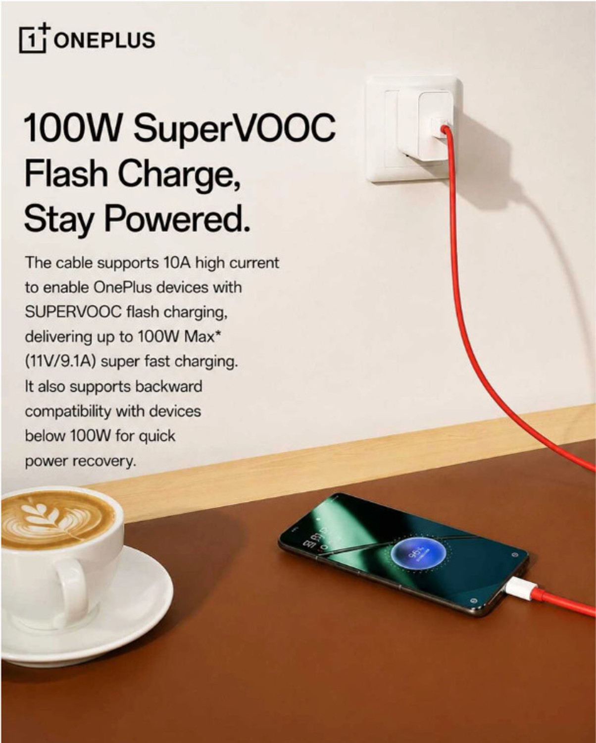 Image of OnePlus USB Type C Cable 10 A 1.5 m Copper Original 100W USB-A Type-C Premium Fast Charging Cable 1.5 Meter