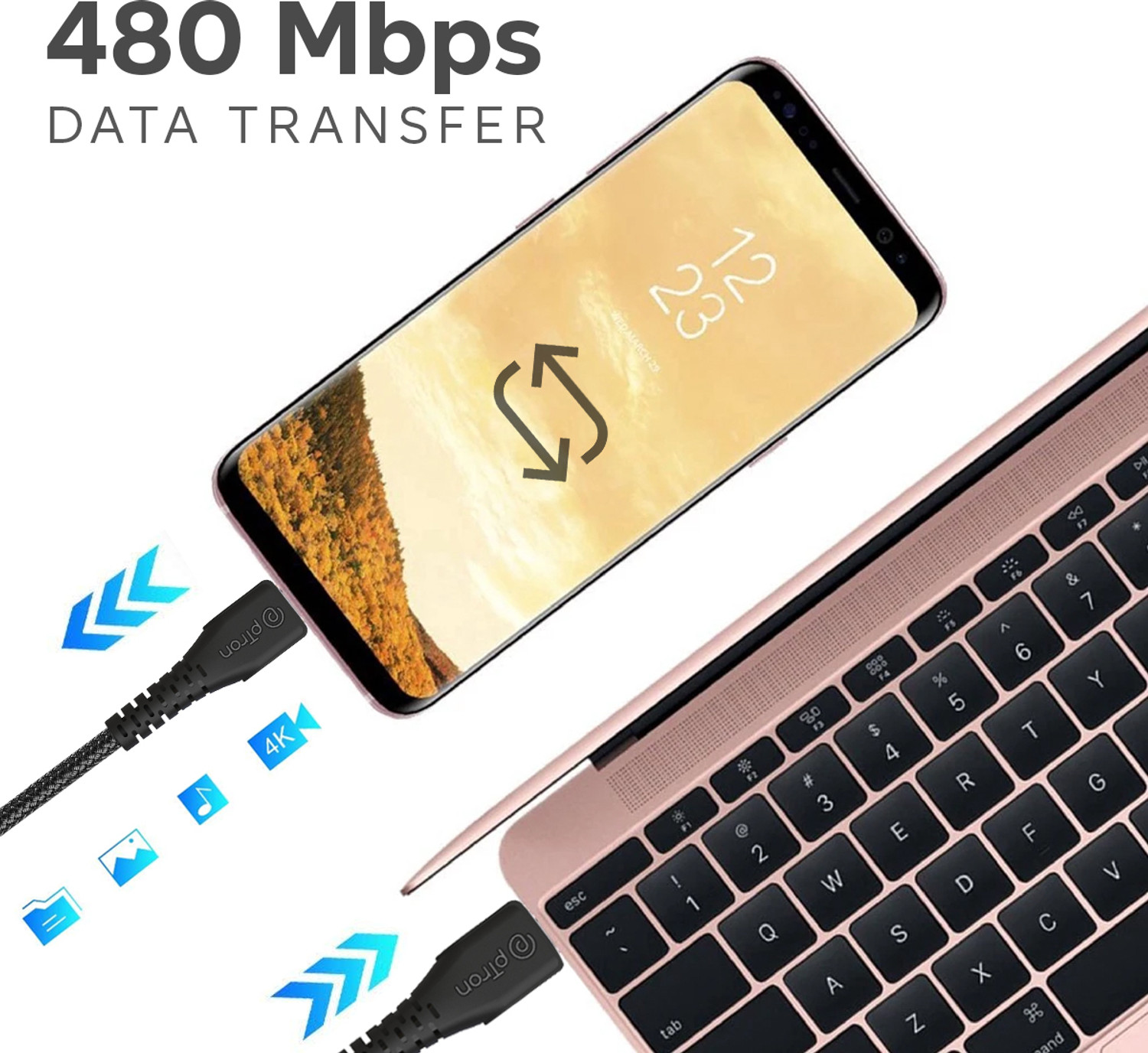Image of PTron USB Type C Cable 3 A 1 m 480.0