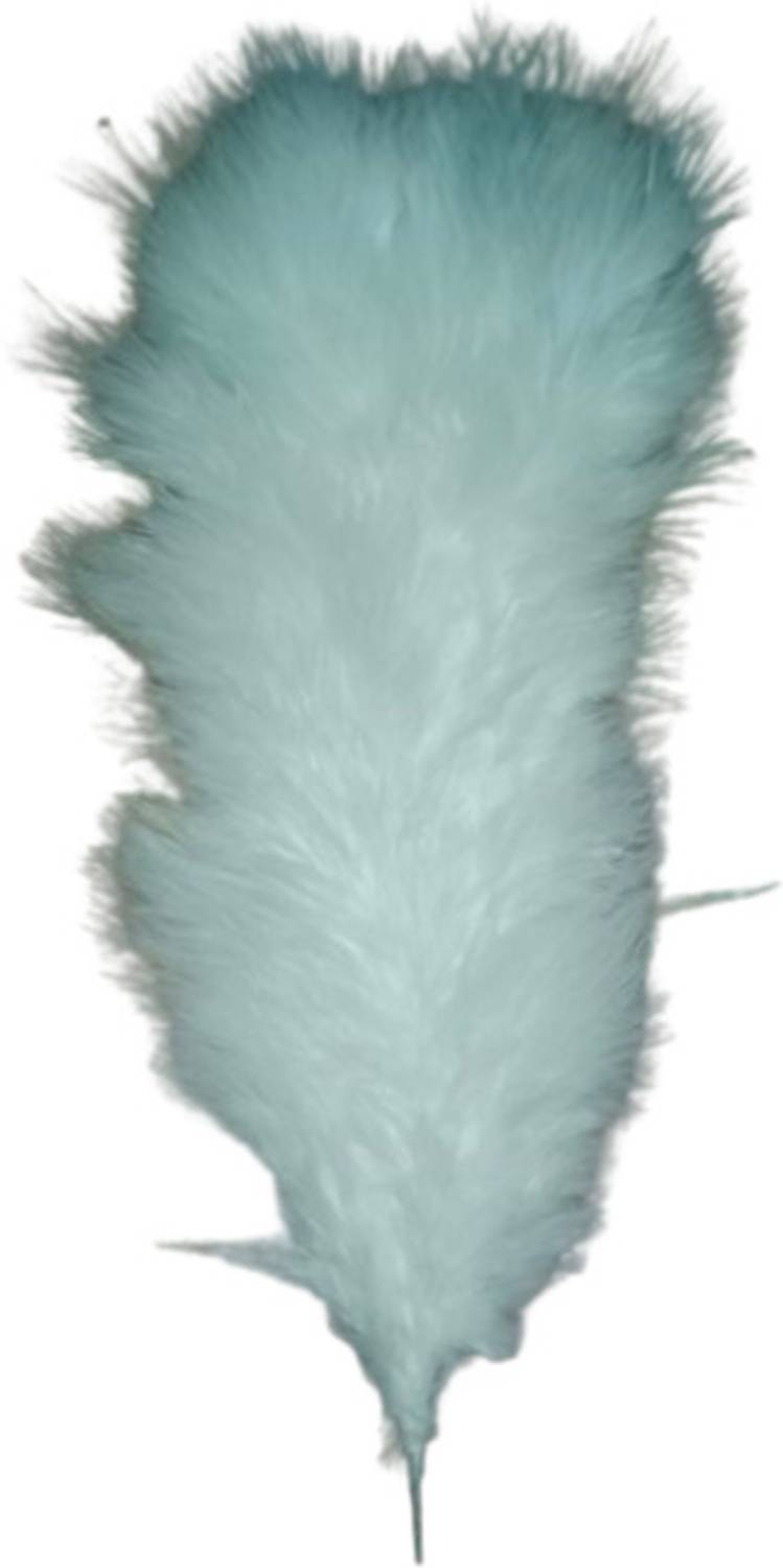 ANJUM CREATION Pack of 5 Decorative Feathers