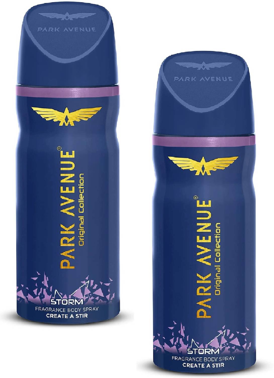 PARK AVENUE STORM DEODORANT, 150ML PACK OF 2 Deodorant Spray -