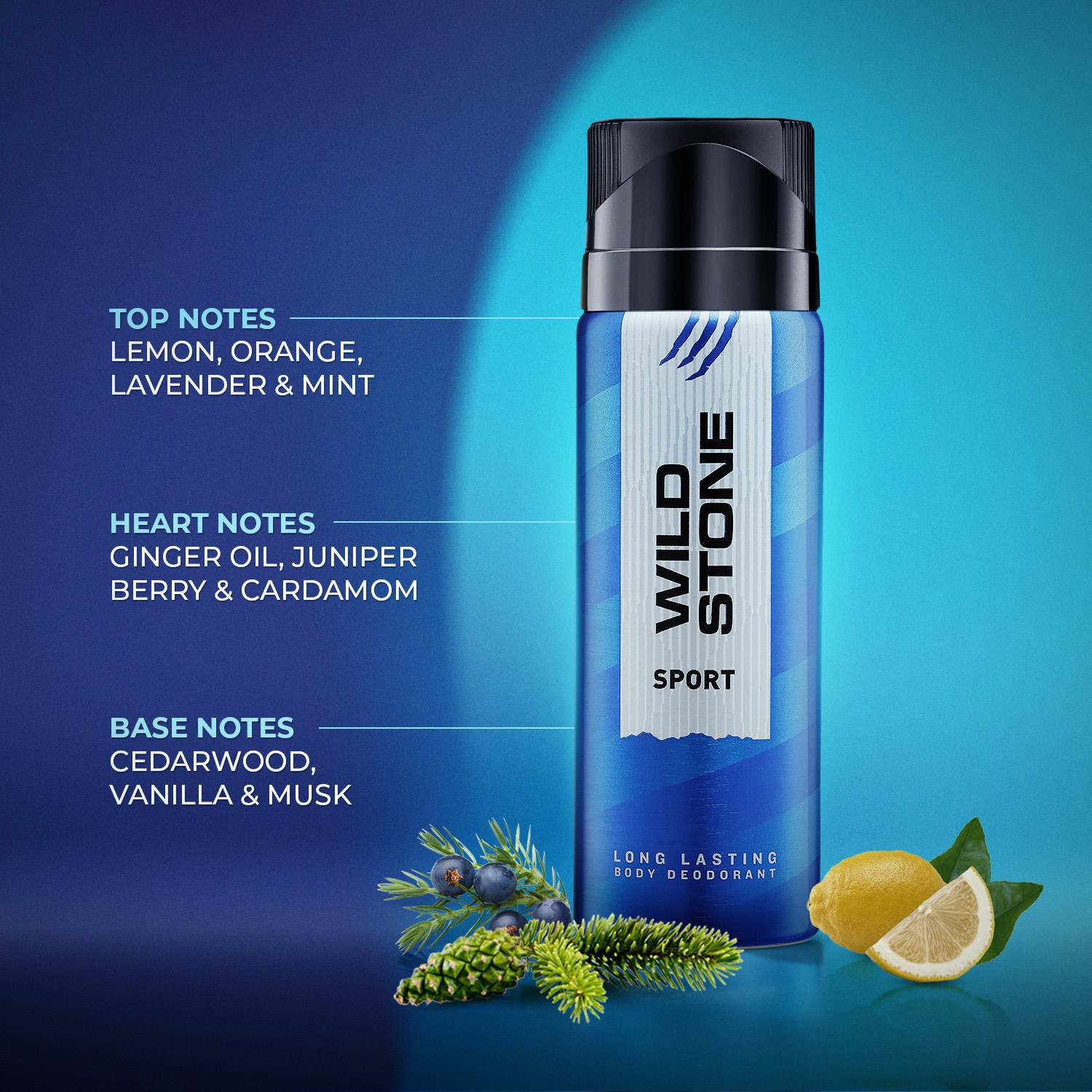 Image of Wild Stone Sport Long Lasting deodorant for Men | Best For GYM | Perfect Active Lifestyle Body Spray - For Men