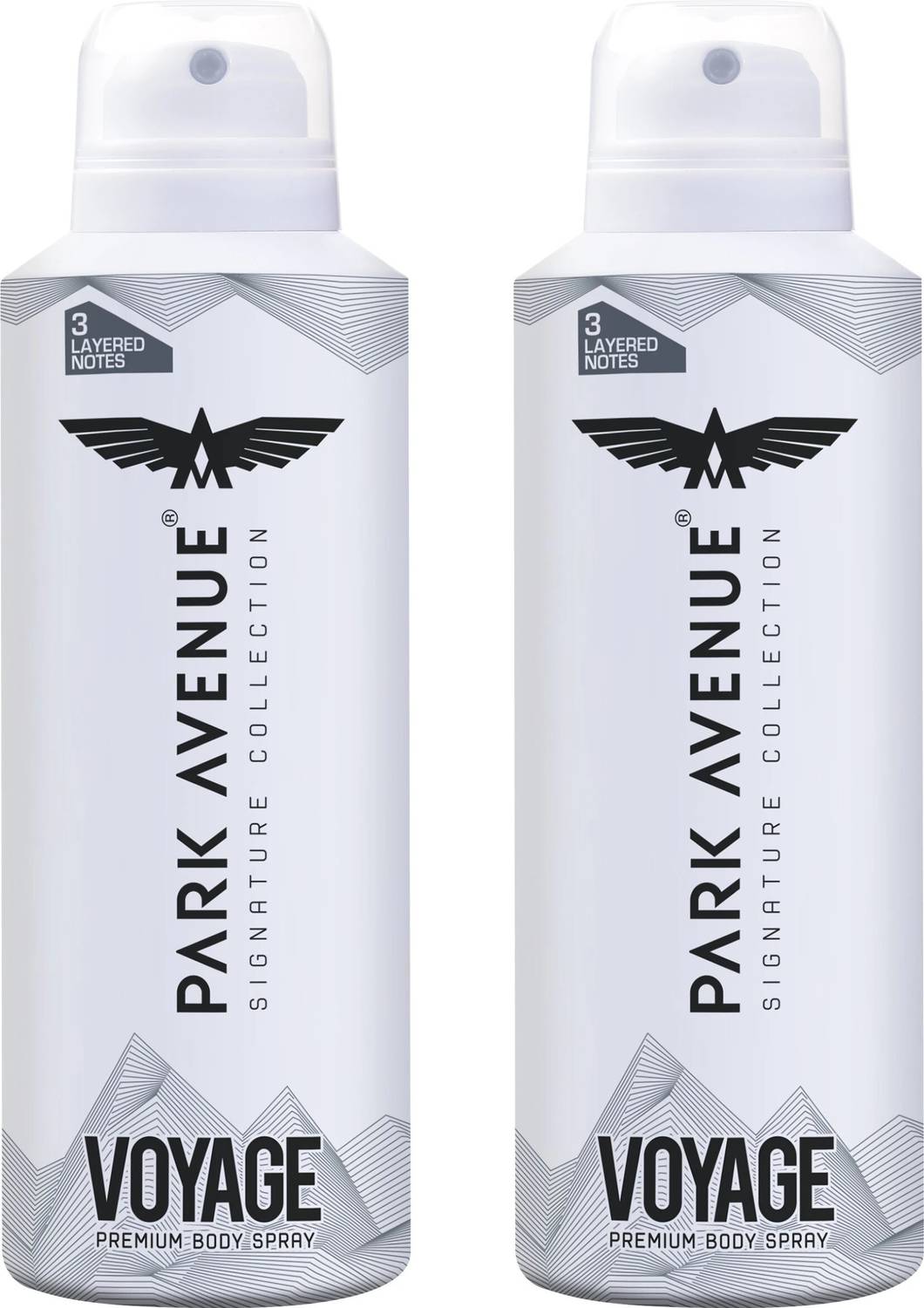 PARK AVENUE Voyage Deodorant Spray - For Men (300 ml, Pack of 2