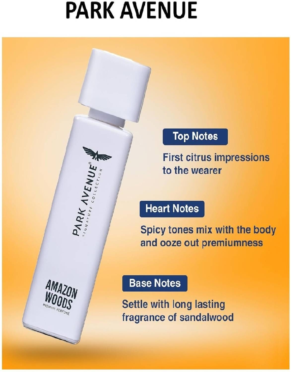 Park Avenue Amazon Wood 120 ml Body Spray - Image 4
