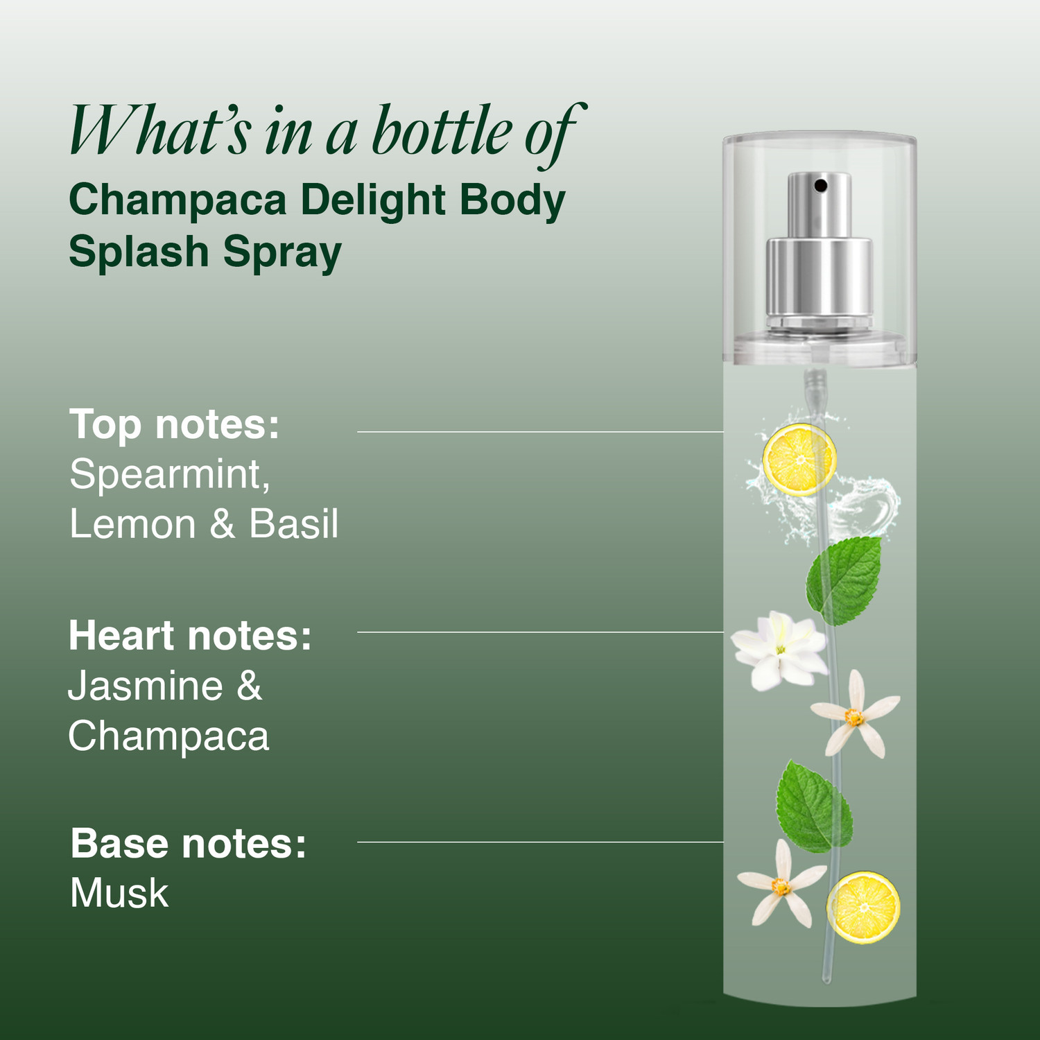 Image of LAYER'R Wottagirl! CHAMPACA Body Splash Long Lasting Fragrance Body Mist - For Women