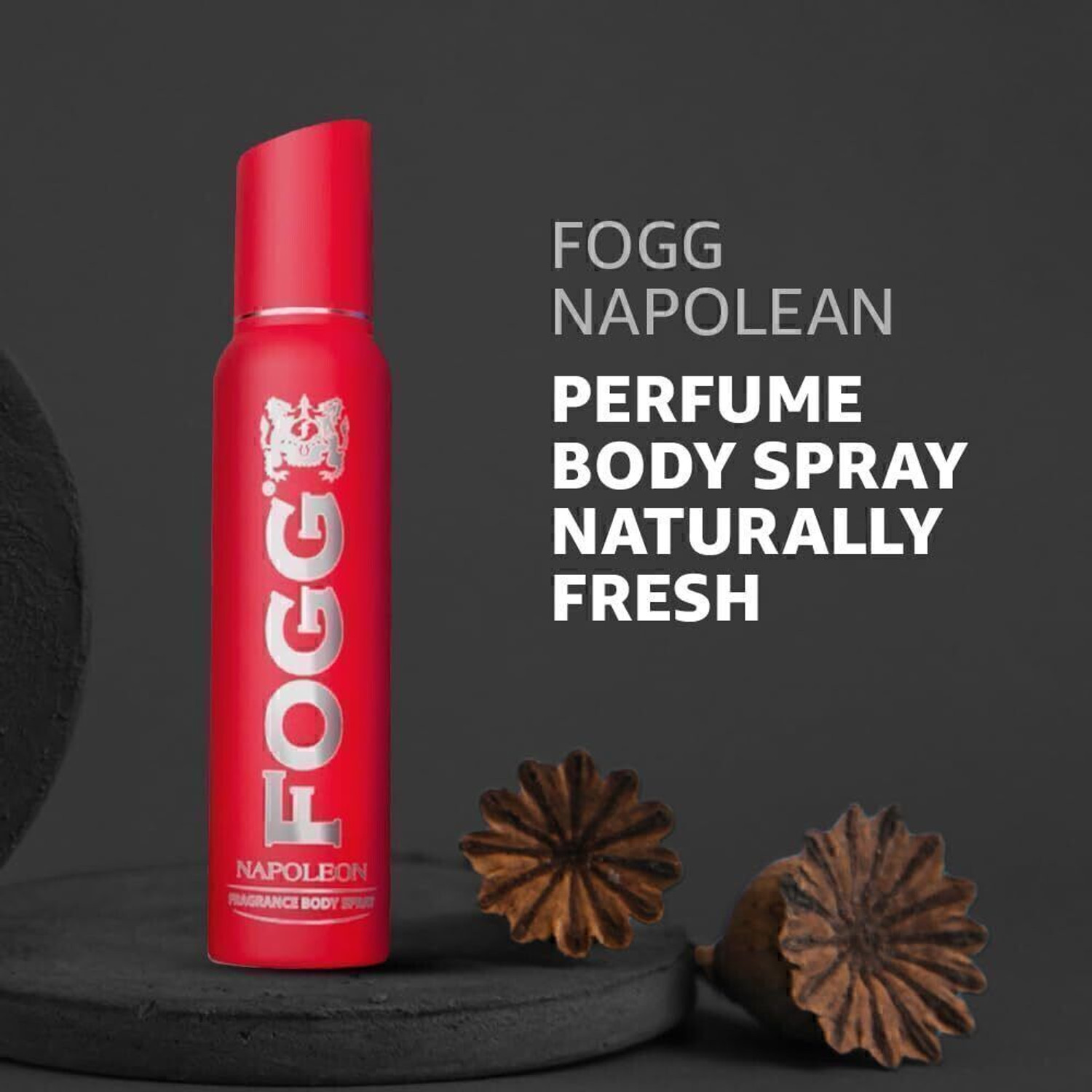 Image of FOGG Napoleon No Gas Body Spray - For Men