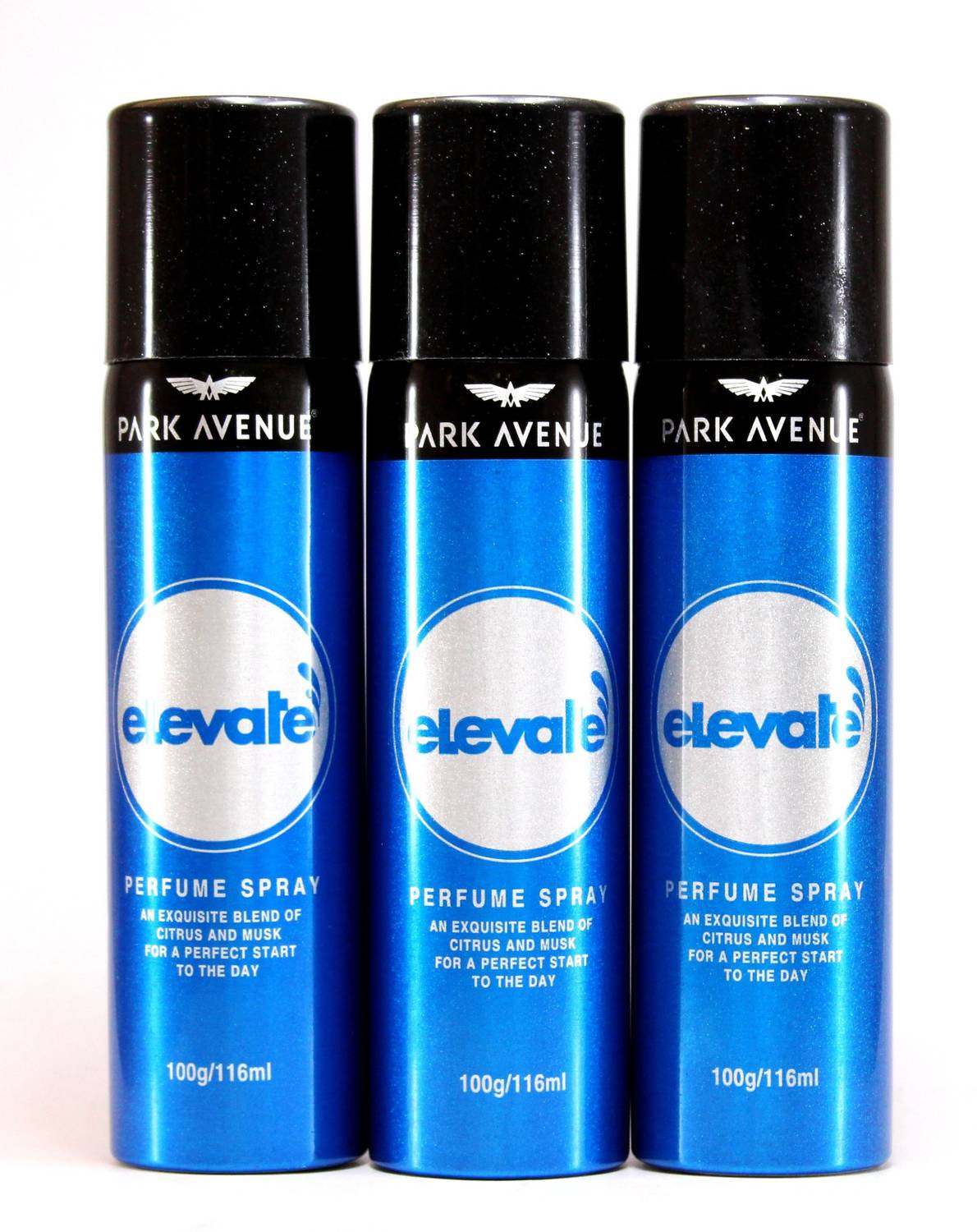 PARK AVENUE Elevate Perfume Body Spray - For Men (300 g, Pack o