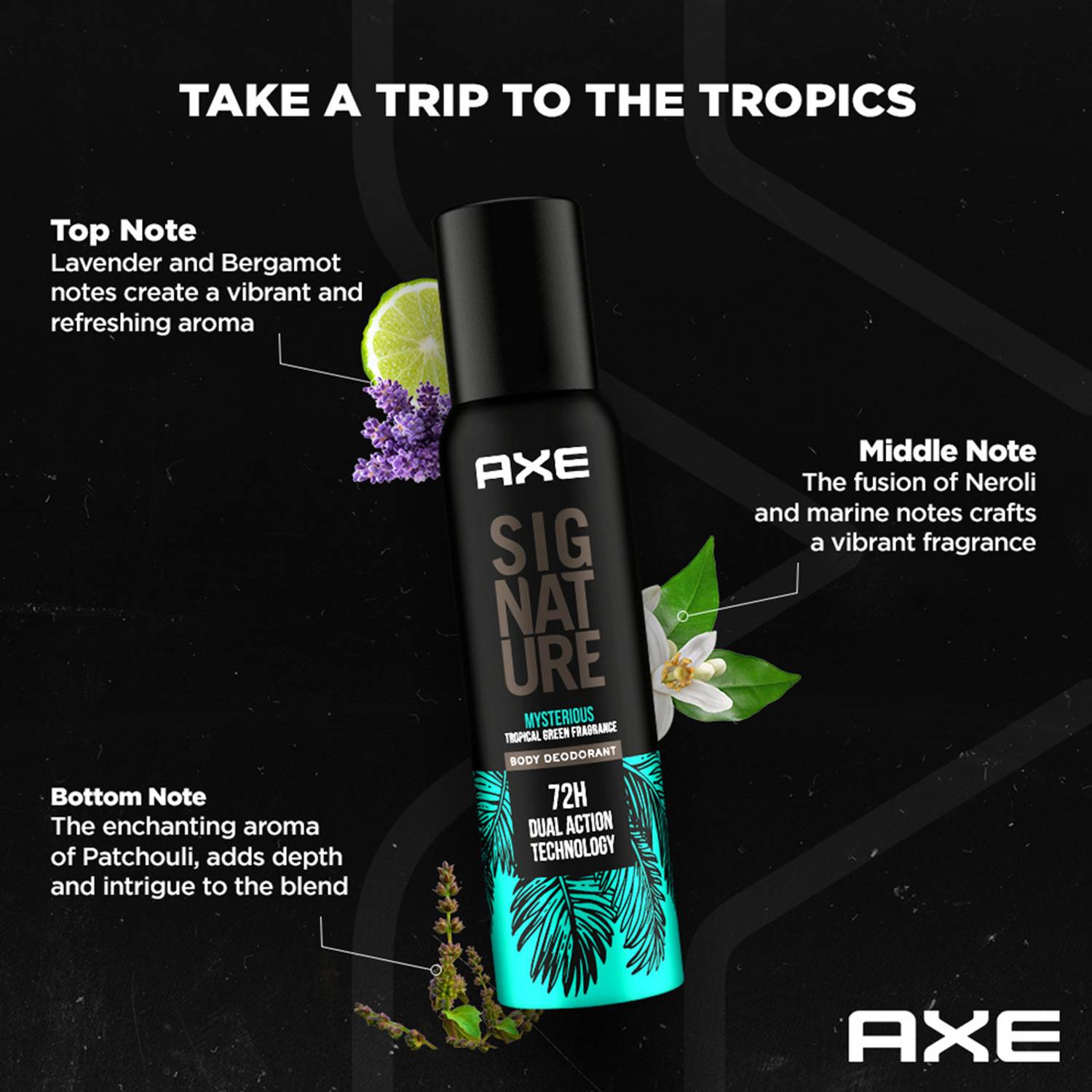 AXE Signature Mysterious and Intense Deodorant No Gas Body Perfum... more