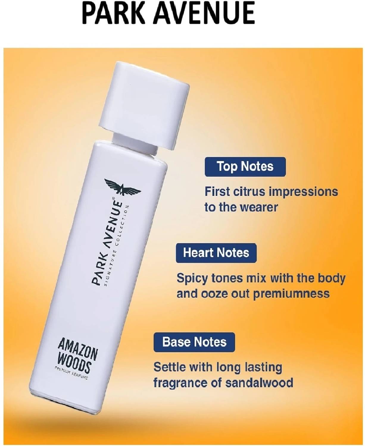 Park Avenue Amazon Wood 120 ml Body Spray - Image 5