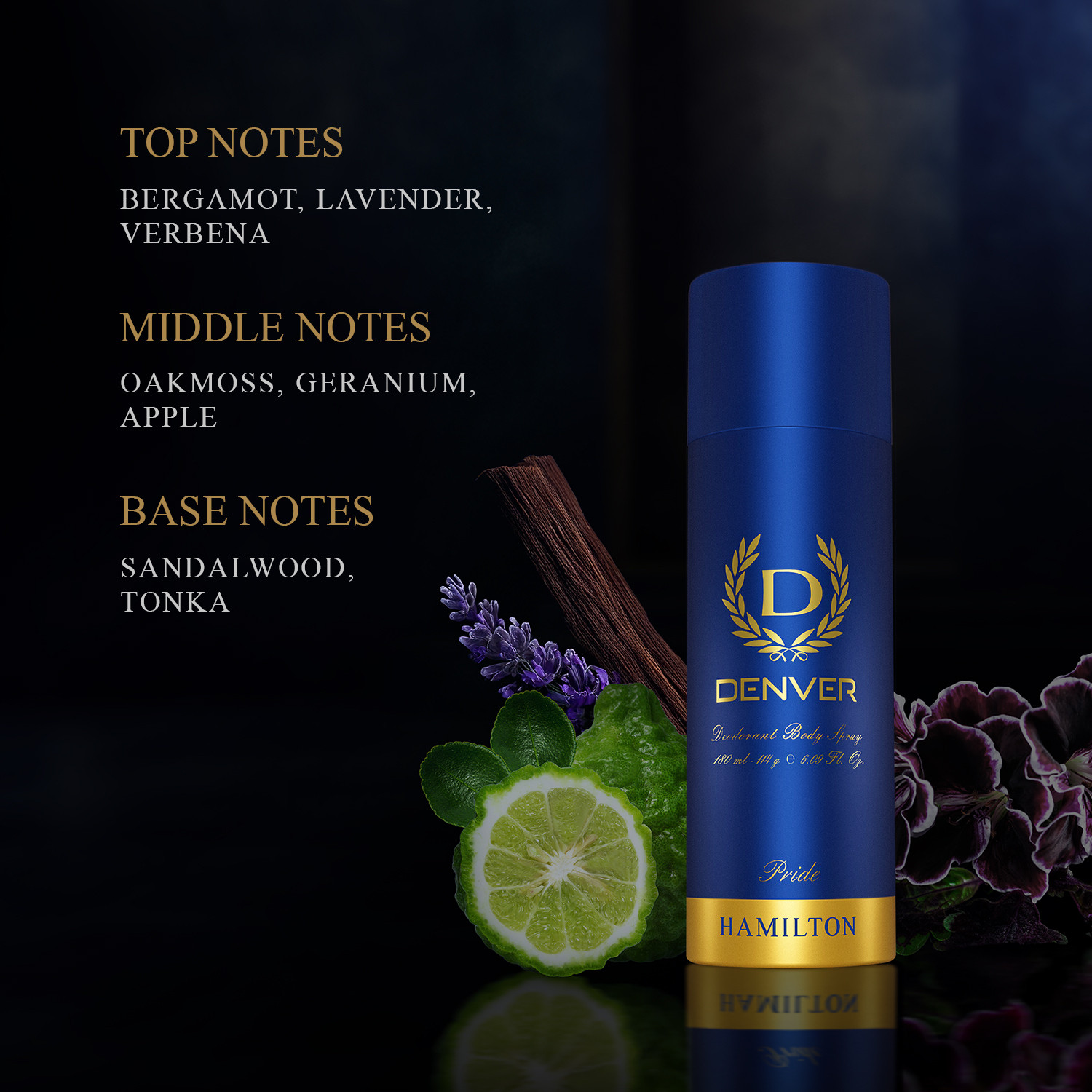 Image of DENVER pride Deodorant Spray - For Men