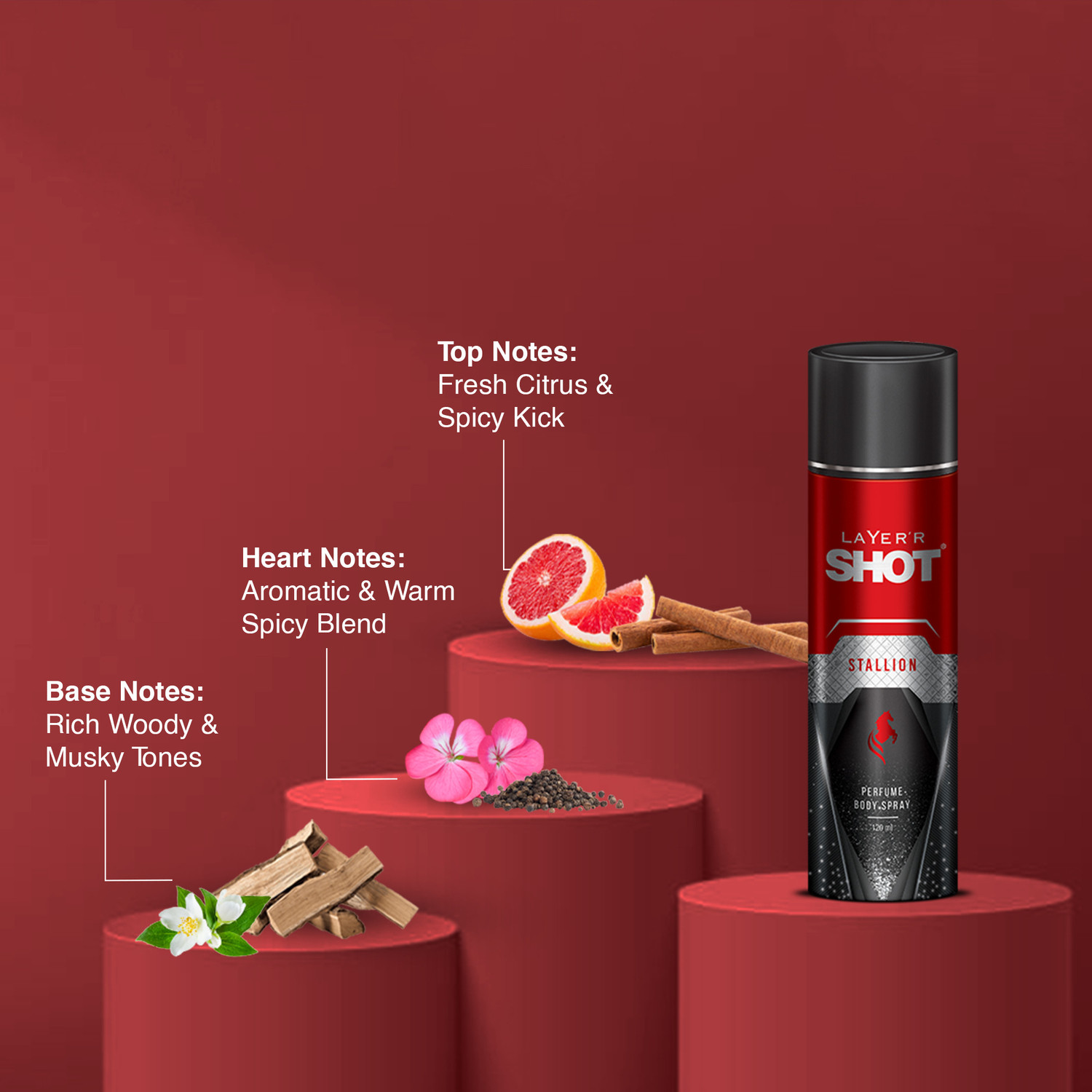 Image of LAYER'R Shot Stallion Deodorant Spray - For Men