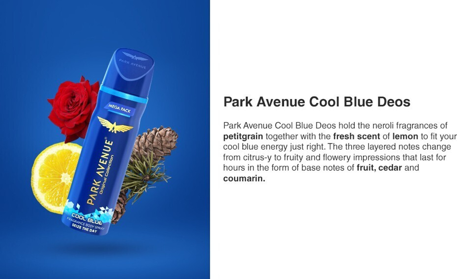 Image of PARK AVENUE Cool Blue Body Spray - For Men & Women 150 ml (Pack Of 1) Deodorant Spray - For Men & Women