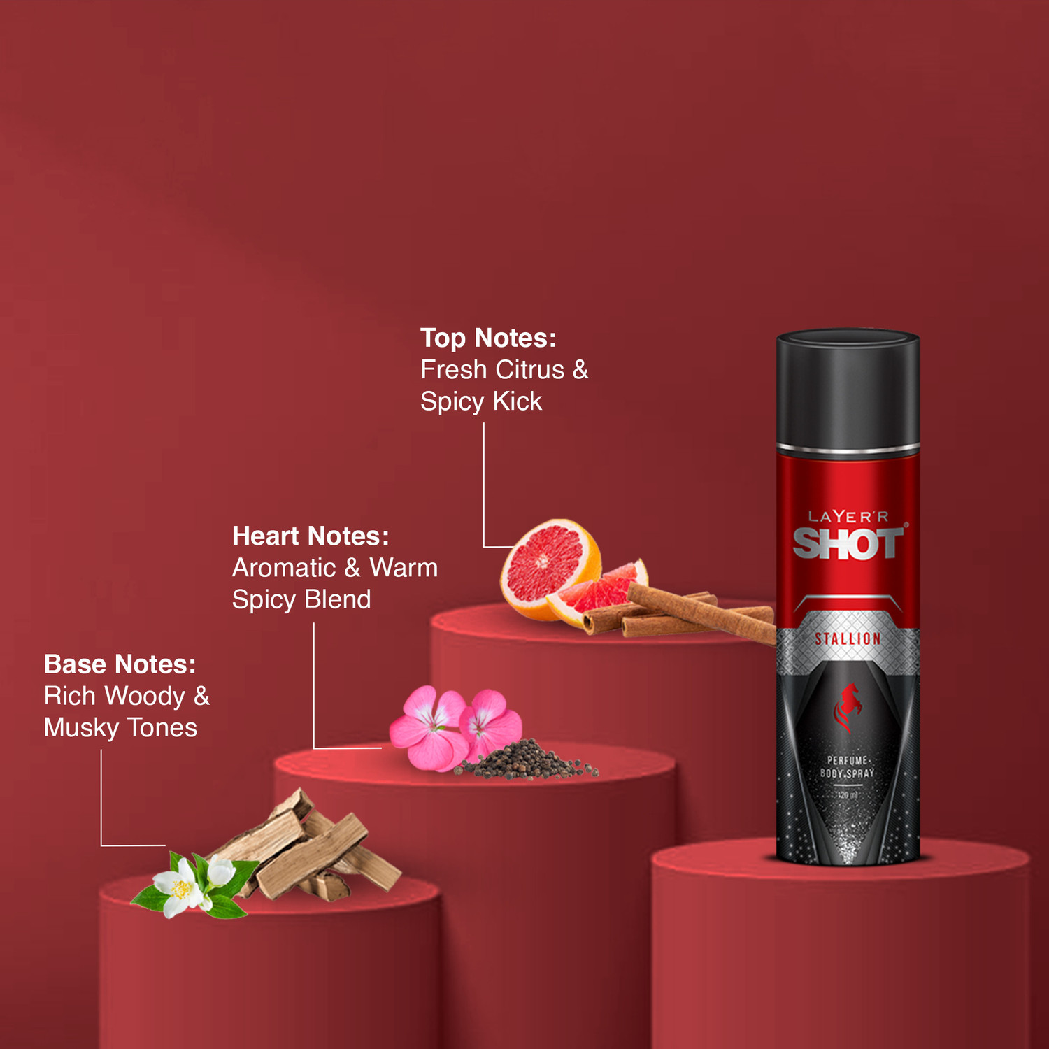 Image of LAYER'R Shot - Stallion Deodorant Spray - For Men