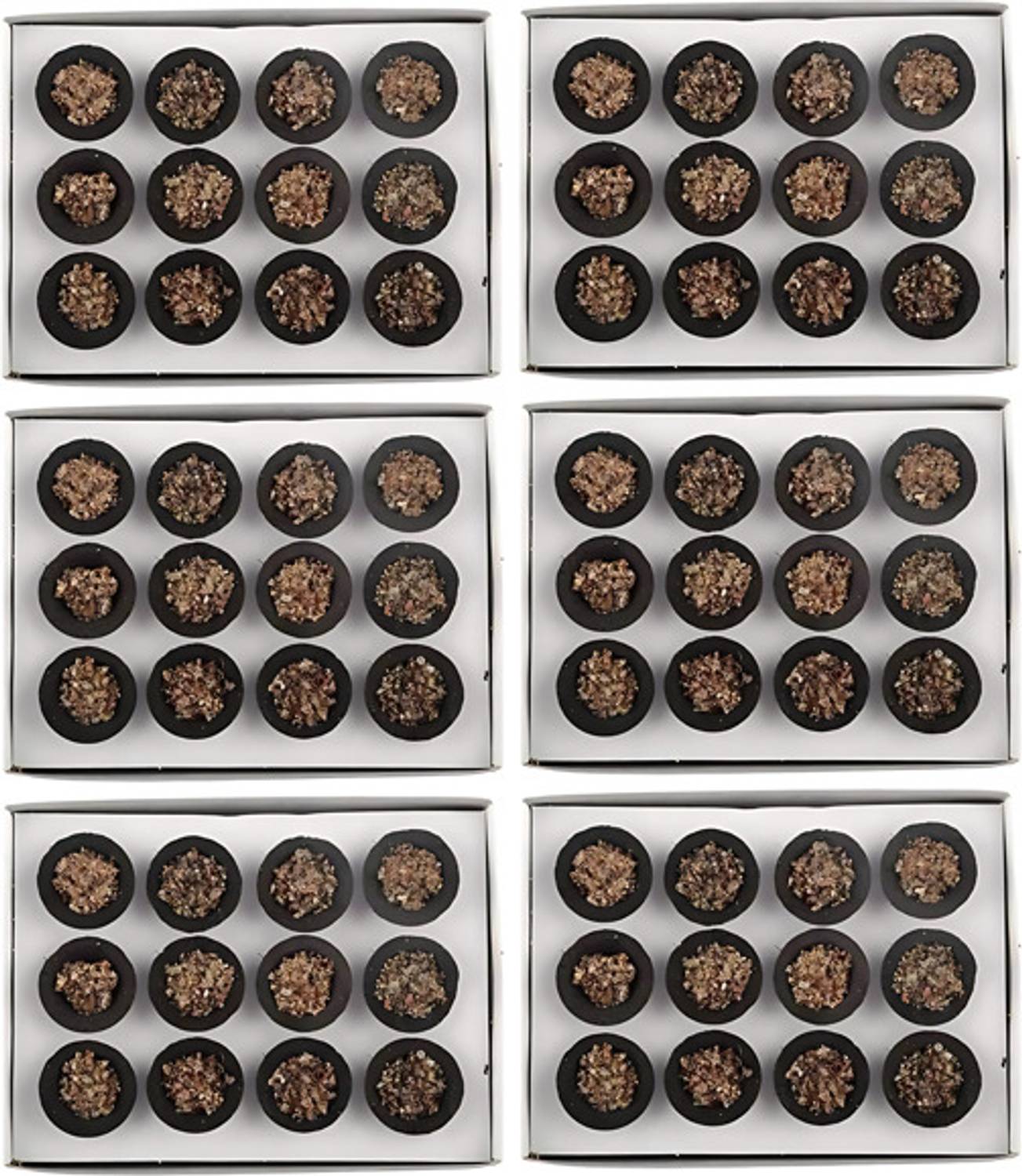Airofine Fragrance Sambrani Cup Dhoop With Loban For Pooja (12 Cups In Each Pack)-AF CDC236 Guggul Dhoop
