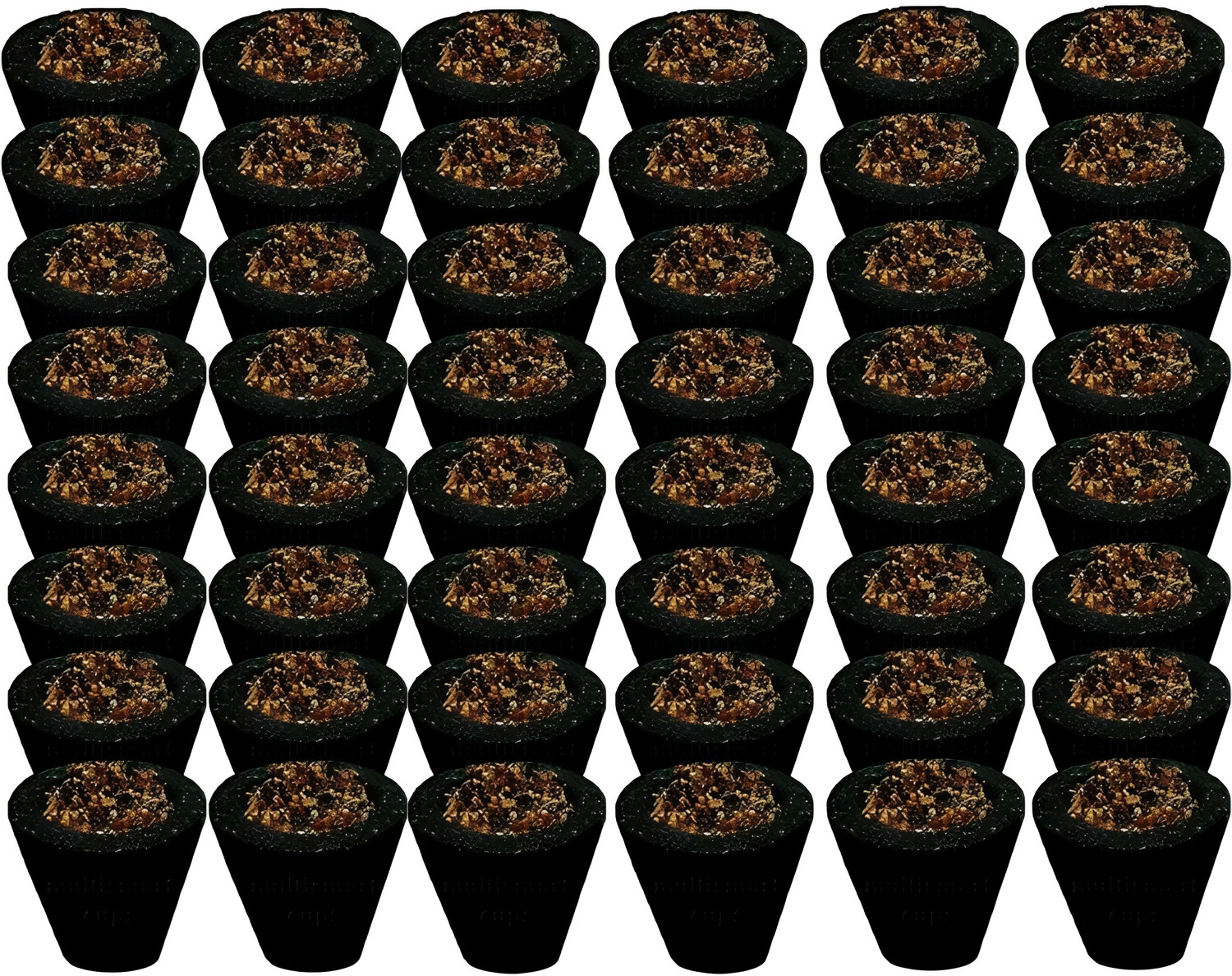 Image of RVR Natural Sambrani Dhoop Cups Pack of 24 Dhoop Cups for Home Puja Guggul Dhoop