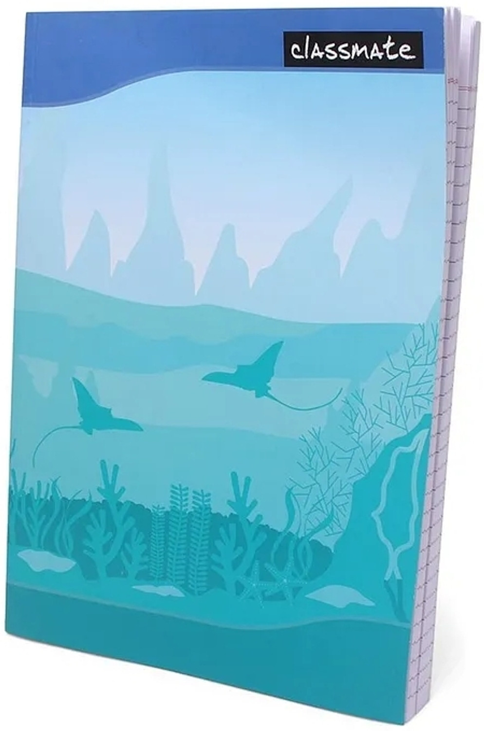 Image of Classmate notebook 384 pack of 1 A4 Notebook single line 384 Pages