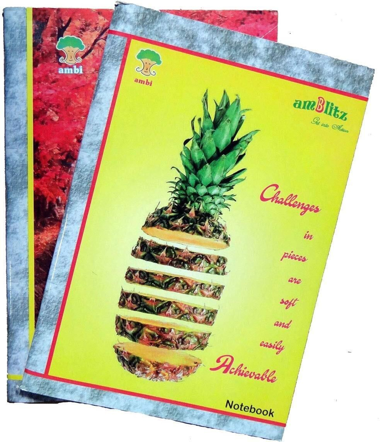 Image of amblitz Spiral Notebook A4 Diary Ruled 184 Pages