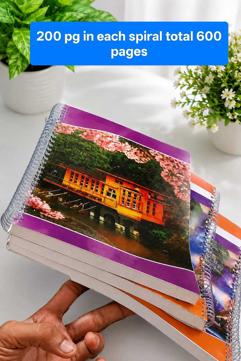 Image of City King ECONOMY A4 Notebook Ruled 900 Pages