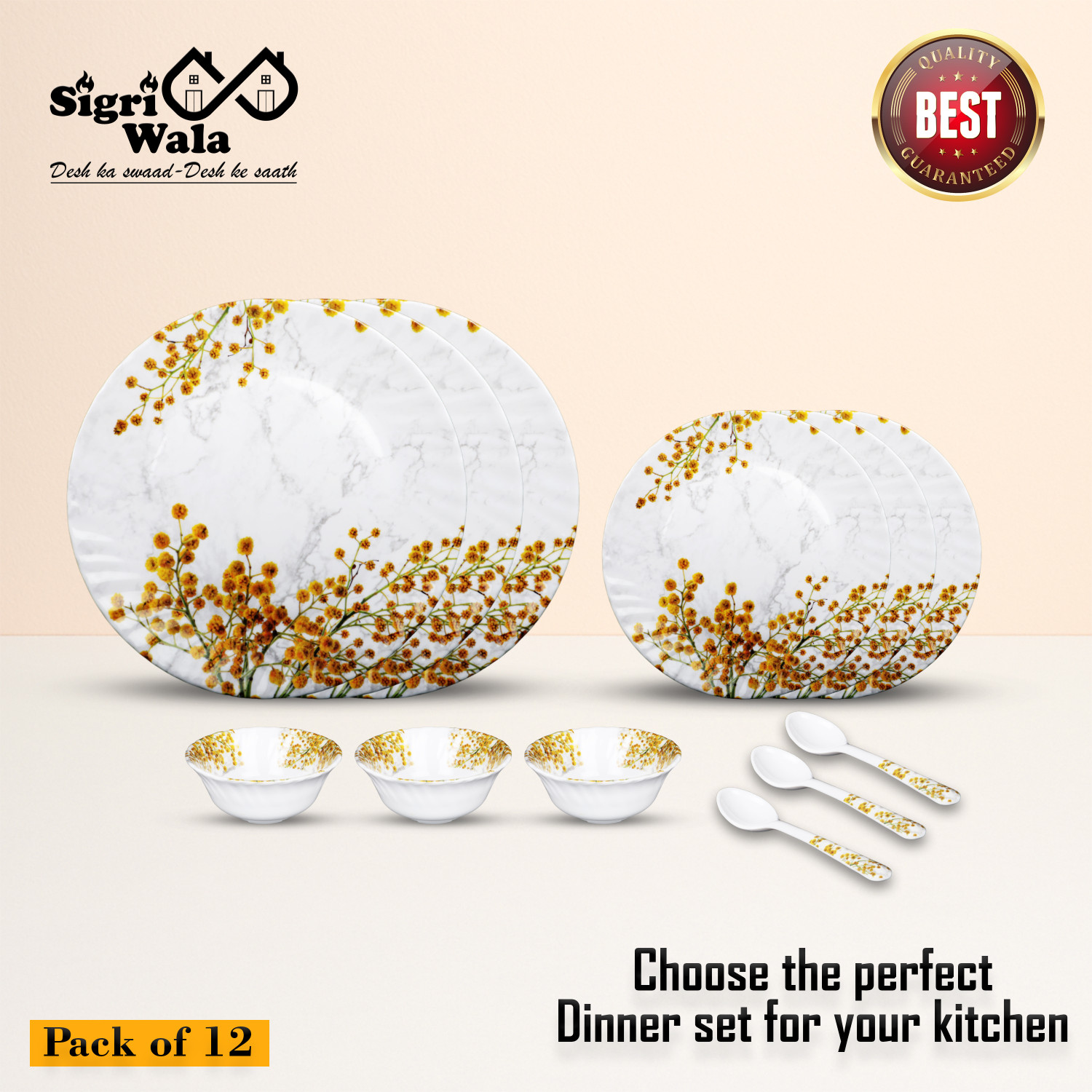 Image of Sigri-wala Pack of 12 Melamin Dinner Set