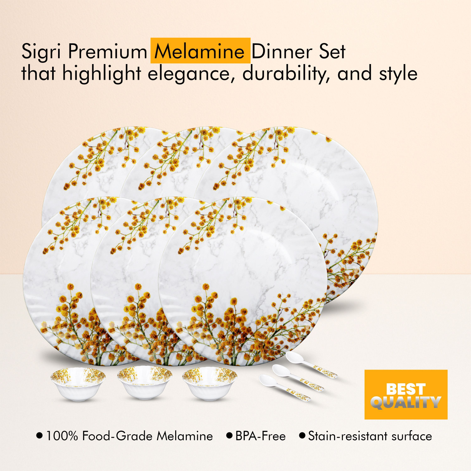 Image of Sigri-wala Pack of 12 Melamin Dinner Set