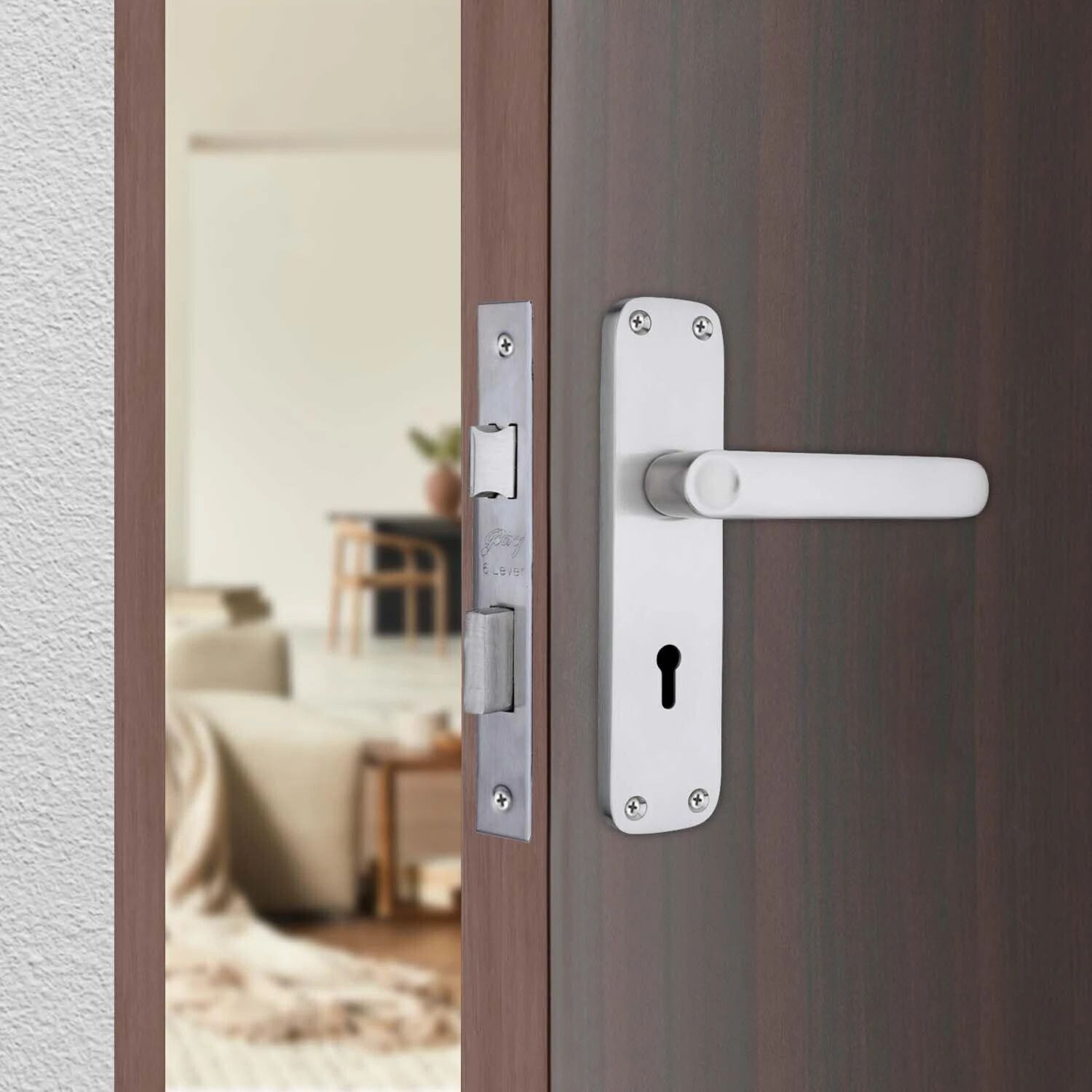 Image of Godrej Locks Stainless Steel Luster Handlesets