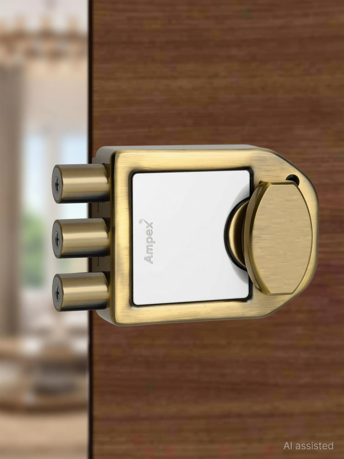 Image of AMPEX Brass, Iron, Steel Glossy Deadbolts